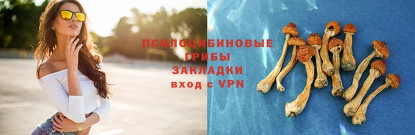 трава Баксан