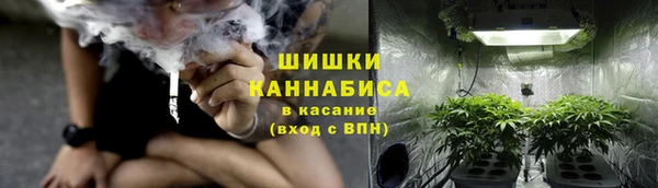 стаф Няндома