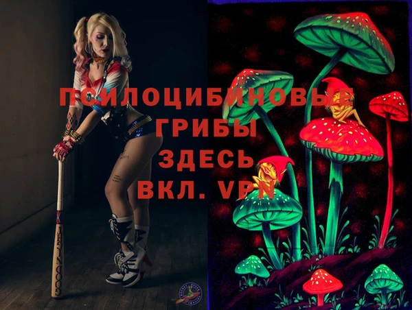 дурь Нязепетровск