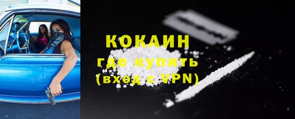 стаф Няндома