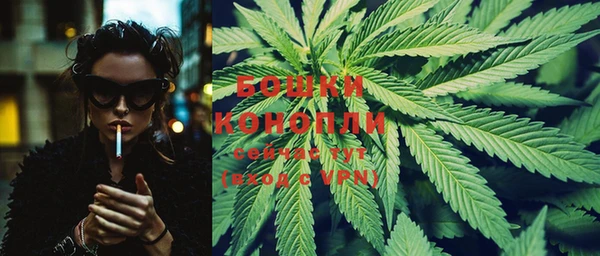 стаф Няндома