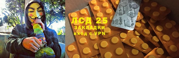 гашик Заводоуковск