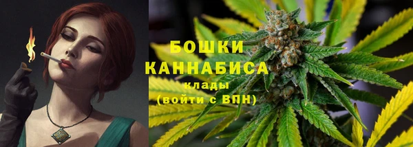 стаф Няндома