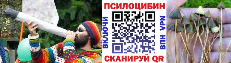 даркнет Telegram  Томилино  Псилоцибиновые грибы MAGIC MUSHROOMS 